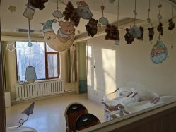 -皇家月府月子中心(沈阳店)