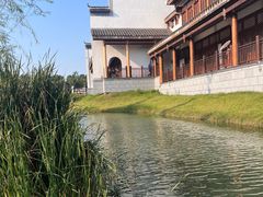 -洋湖国家湿地公园