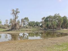 -天山神秘大峡谷