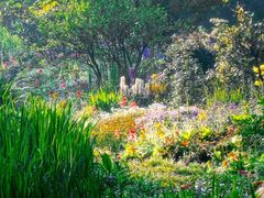 -上海共青森林公园