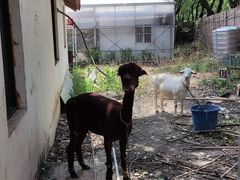 -美家乐农庄·露营·团建(大治路店)