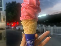 -萨朗刀克冰淇淋雪花凉(植物园店)