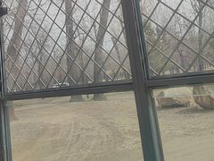 -秦皇岛野生动物园