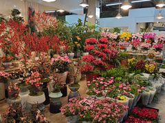 -双季花艺园艺市场(浦东店)