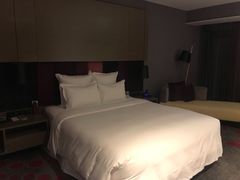 -南京禄口机场雅高铂尔曼大酒店