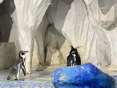 -太平洋海底世界