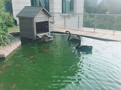 -行者书屋大堂吧 ·下午茶(南京圣和府邸酒店)