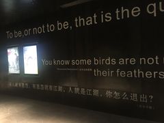 -银兴国际影城(星汇维港店)