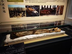 -巴音郭楞蒙古自治州博物馆