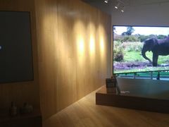 -Sony Store 索尼(上海淮海中路店)