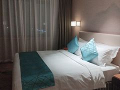 -北京广安门维景国际大酒店