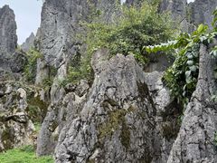 -泥凼石林风景区