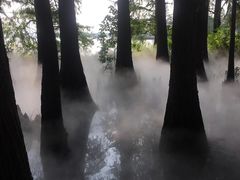 -东湖落雁景区
