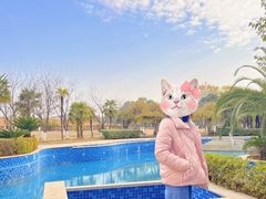 -洪湖悦兮半岛国际温泉度假村