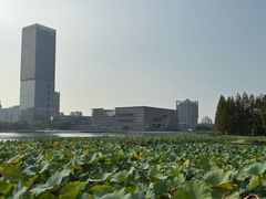 -嘉定凯悦·咖啡厅