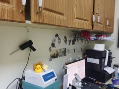-美联众合动物医院·24h转诊中心
