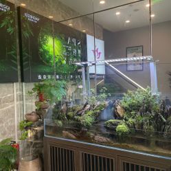 点击看大图 -阅年轻·AI家庭健康体质调理