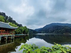 -黔灵山公园