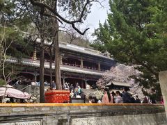 -潭柘寺景区