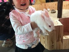 -昆明大悦城未来动物城(螺蛳湾中心店)