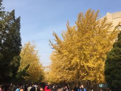 -辽宁大学(崇山校区)