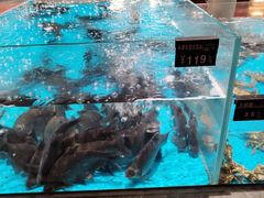 -艳阳天·非遗楚菜(武汉客厅店)