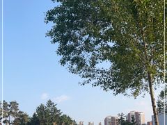 -长影旧址博物馆