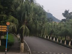 -重庆海昌加勒比海水世界
