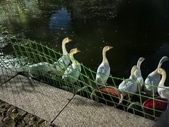-全国宣传干部学院(怀柔校区)
