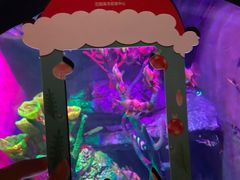 -沈阳海洋探索中心