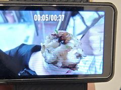 -孙氏梅花糕(马台街)