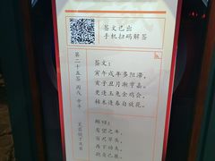 -骑鹅公社(南开大悦城店)