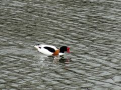 -上海怡沁园度假酒店