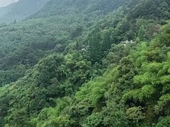 -缙云山景区