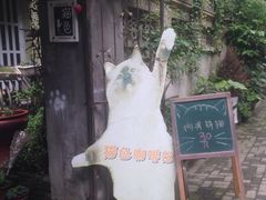 -猫色咖啡·猫咖