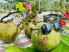 -全优加早教托育园(广百新一城店)