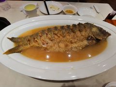 -阿庄新豫菜(航海东路店)