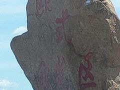 -乌兰布统草原