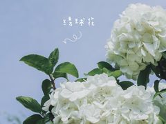 -南京财经大学（仙林校区）-图书馆