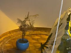 -秘境影院式酒店(苏州平江万达广场店)