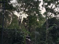 -清迈夜间动物园