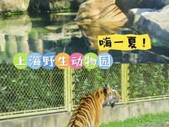 -上海野生动物园