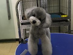 -沐沐家宠物(成寿寺店)