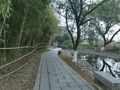 -八大山人梅湖景区