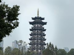 -洋湖国家湿地公园
