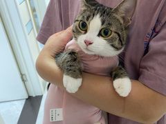 -中农国际动物医院24小时·猫科·骨科·急重症中心