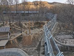 -石家庄市动物园