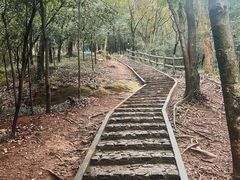 -上海佘山国家森林公园天马山园