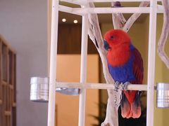 -兰亭茶叙(新新家苑店)