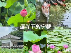 -荔湾湖公园